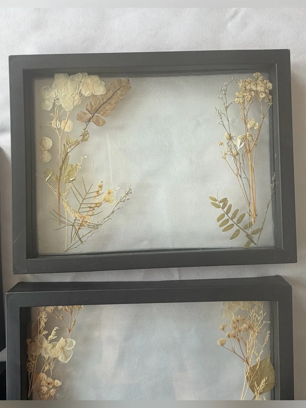 Lot of 5 black picture frames with dried flowers wedding party decor
